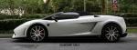 Lamborghini Gallardo Toro by DMC 2012 года